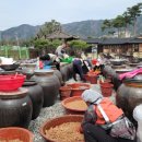 지역사랑농촌체험휴양마을 이미지