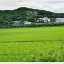 김앤박공인중개사사무소 이미지