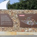 설화 - 화순군 지강로 438 | 설화