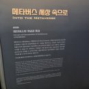 메타버스 디자인 | 부안 &#39;새만금 메타버스 체험관&#39; 간단 후기~!