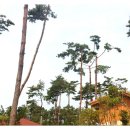 솔토락펜션 이미지