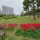 청계중앙공원 1 이미지