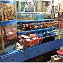 소라랑문어랑 이미지