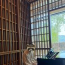 폼카페 | 파크로쉬 정선 1박2일 폼룰러테라피 , 수영장, 자쿠지, 로쉬카페,위스키바 후기