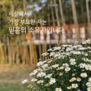 홀리씨즈교회 이미지