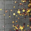 CU서구서영점 | 겨울이 왔어요