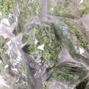 광채농장 이미지