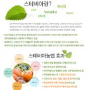 황토 밭 단감, 대봉시 판매합니다. 이미지