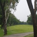 [마닐라 골프] 작년 고객분들과 함께 했던 오챠드 골프장 라운딩 이미지