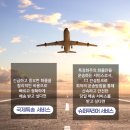 국제특송여객운송