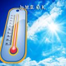 새로본