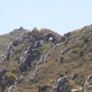 땅끝 남도의 향기 이미지