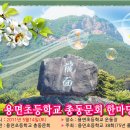 용면초등학교 이미지