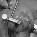 코끼리 동물병원 이미지