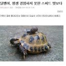 달팽이 이미지