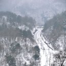 새소리 물소리 이미지