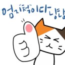 와플대학상남캠퍼스 이미지
