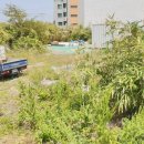 제주공감공인중개사사무소 이미지