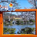 연화지 이미지