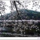 고남저수지 이미지