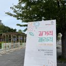 남구구립 | 울산 남구 왕생이길 문화예술거리 버스킹 길거리 갤러리 관람 후기
