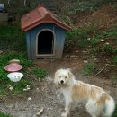 순돌뭐하니 이미지