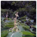 예덕민박 이미지