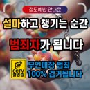 무인81 이미지