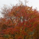 보경사휴게소한식뷔페 이미지