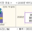 화이트환경 이미지