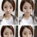 베베미뇽 이미지