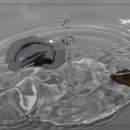 24시수도설비 이미지