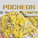 갈월버섯농장 이미지