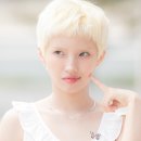 아이포토 이미지