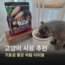 이*재 - 진안군 신거석길 19-4 | 사료 추천 기호성 좋은 하림펫푸드 더리얼 캣 크런치 그레인프리 닭고기 어덜트, 건사료 재급여 후기