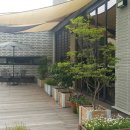 그늘막124 이미지