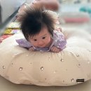 가성비 좋은 신생아 초점책 찾는다면? 애플비 아기 초점책 후기👶