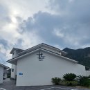 산방산호텔 | [제주/서귀포] 산방산 숙소 호텔 하루시다 내돈내산 후기 (스탠다드 스튜디오)