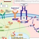 (주)케어젠 이미지