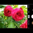 스마트폰 활용 사진+동영상 촬영 이미지