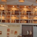 에스피까페