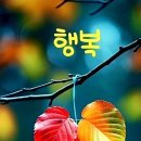 그대는 사랑보다 더 아름다운 향기 이미지