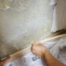 수성이앤지