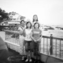 경주(부산) 이미지