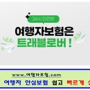 하나탑항공