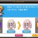 레드메이플 이미지