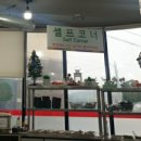 내가키운도야지