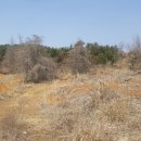 고향태양광발전소2 이미지