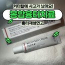 디에이치플러스 이미지