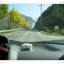 도담초등학교 이미지